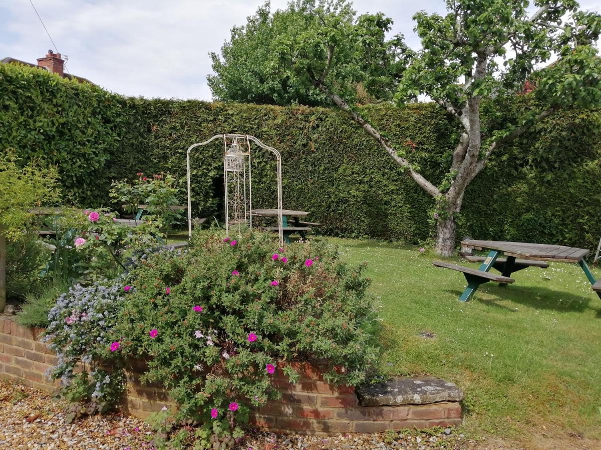 The Willows Shillingstone Exterior photo